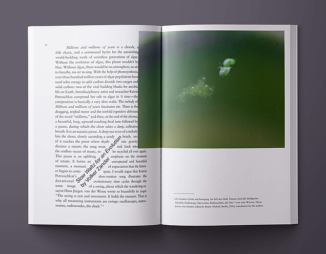 petroschkat_catalogue_mockup_050-051