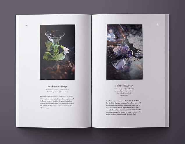 petroschkat_catalogue_mockup_014-015