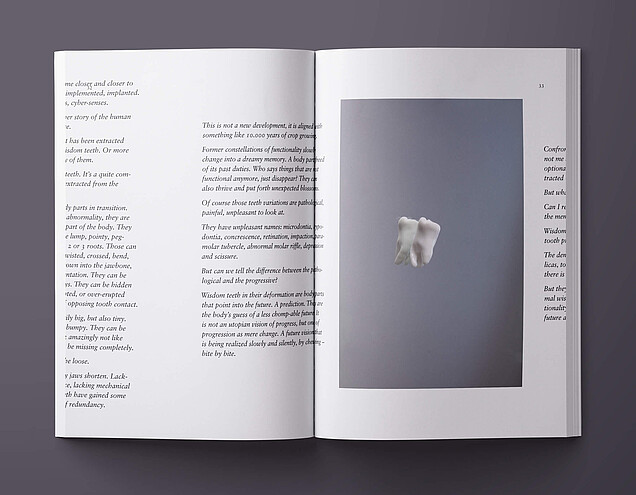 petroschkat_catalogue_mockup_032-033