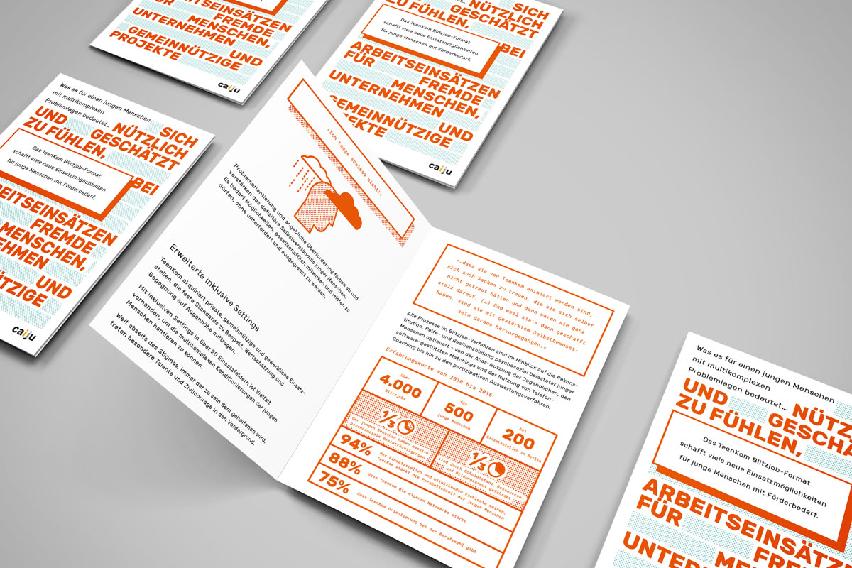 caiju_messe-folder_17_einzelfall_03